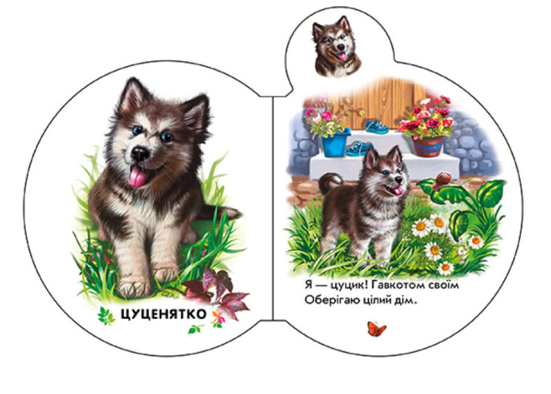 Малята у селі + Аудіо-бонус. Сонечко І. (Укр) Ранок (9789667508593) (479649) - Зображення 2