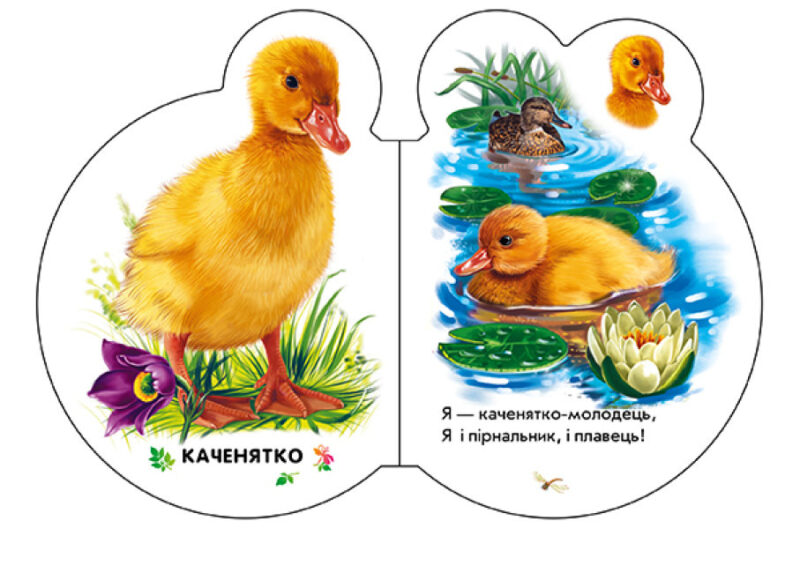 Малята у селі + Аудіо-бонус. Сонечко І. (Укр) Ранок (9789667508593) (479649) - Зображення 3