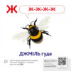 Звуконаслідування. Абетка QR (Укр) Кенгуру (9789667508883) (476134) - Зображення 2