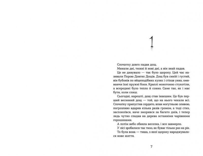 Світ у вулкані. Дощ-убивця. Максимчук О. Книга 2 (Укр) ВСЛ (9786176798774) (485879) - Зображення 2