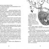 Світ у вулкані. Дощ-убивця. Максимчук О. Книга 2 (Укр) ВСЛ (9786176798774) (485879) - Зображення 3