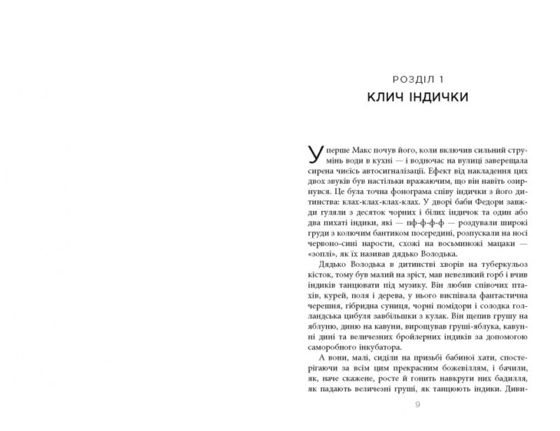 Клич індички. Сучасна проза України. Стеблівський Є. (Укр) Фабула (9786175220887) (484822) - Зображення 5