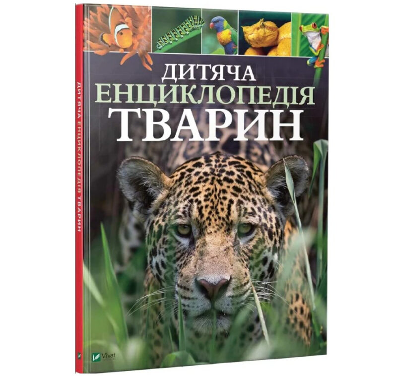 Дитяча енциклопедія тварин (Укр) Vivat (9789669425751) (298762) - Зображення 11