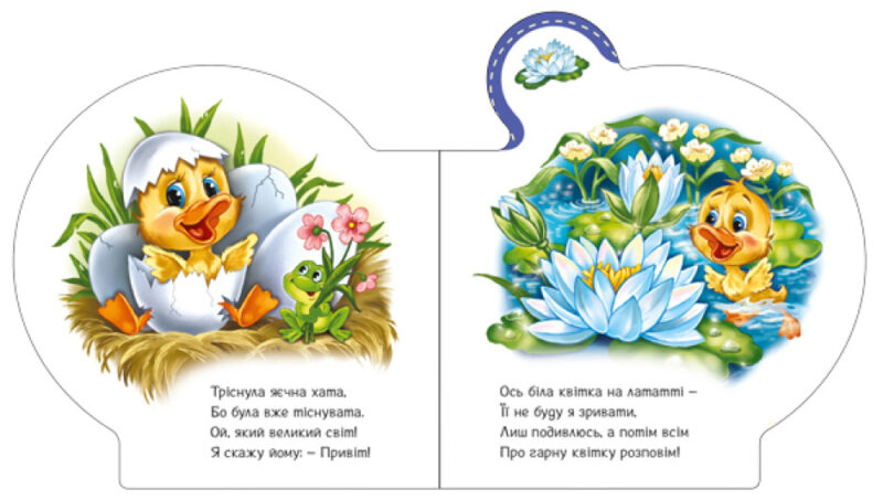 Все про каченятко. Все про всіх. Сонечко І. (Укр) Ранок (9789667508531) (479647) - Зображення 4