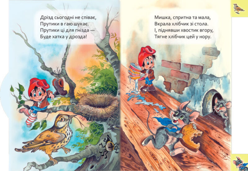 Хто де живе. Маленькому пізнайкові. Новікова В.М. (Укр) Ранок (9789667508661) (483967) - Зображення 2