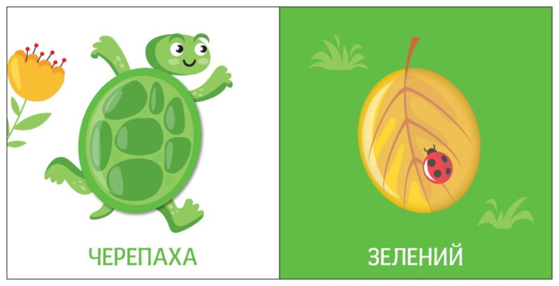 Яскравий світ. Кольори (Укр) Ранок (9789667511456) (486576) - Зображення 4
