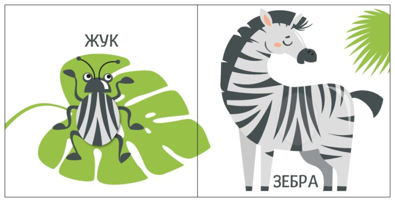 Яскравий світ. Розміри (Укр) Ранок (9789667511470) (486578) - Зображення 4