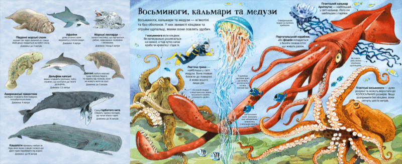 Велика книга морських мешканців. Мінна Лейсі (Укр) Артбукс (9786177940172) (451889) - Зображення 3