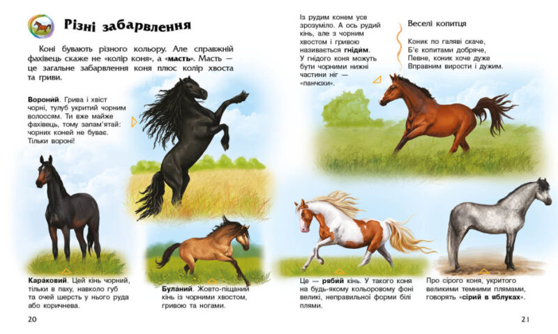 Коні. Енциклопедія дошкільника. Каспарова Ю.В. (Укр) Ранок (9786170977816) (489605) - Зображення 3