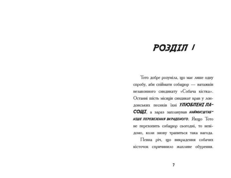 Тото. Кішка-ніндзя і КОТОстрофа суперзірки. Дермот О'Лірі. Книга 3 (Укр) Ранок (9786170974334) (486862) - Зображення 4