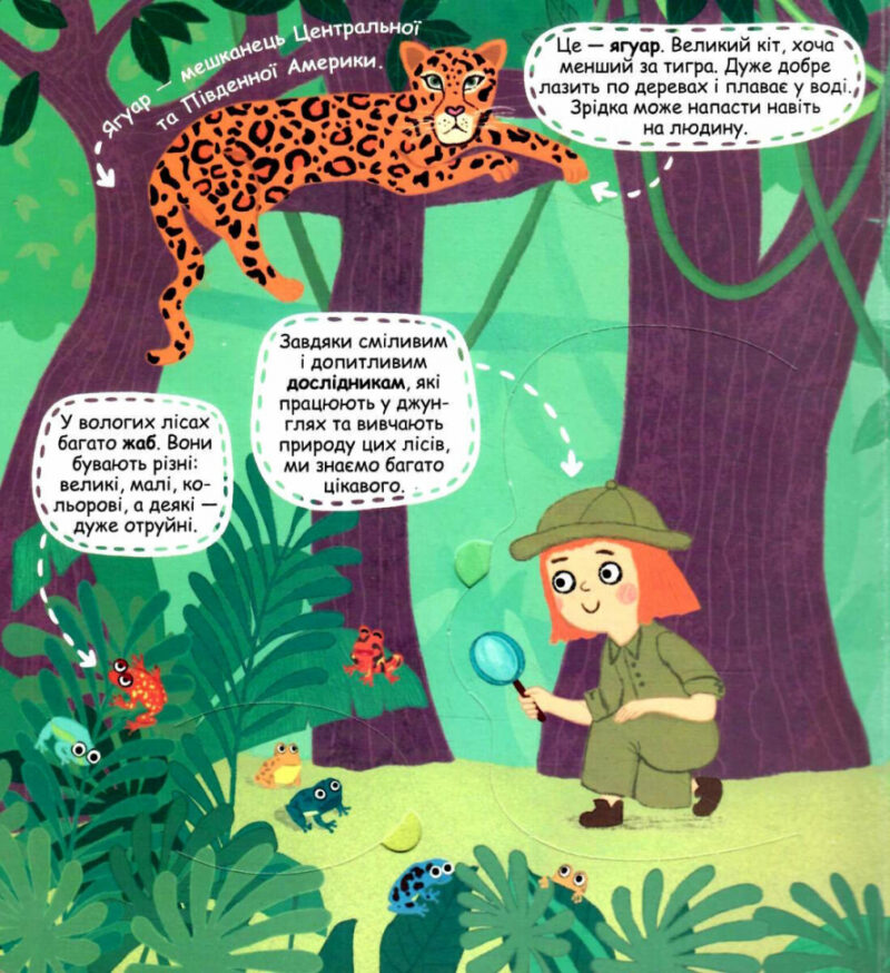 Я пізнаю світ. Загадкові джунглі та їхні мешканці. Дерипаско Г. (Укр) Школа (9789664298589) (490960) - Зображення 3