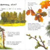 Енциклопедія дошкільника. Збірник. (Укр) Ранок (9786170973443) (462544) - Зображення 6