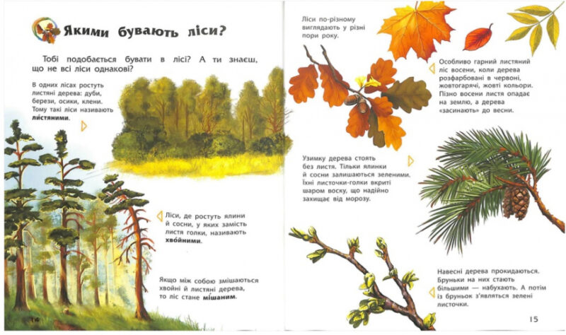 Енциклопедія дошкільника. Збірник. (Укр) Ранок (9786170973443) (462544) - Зображення 6