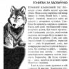 Бібліотека пригод. Джек Лондон. Біле ікло. Пригоди Смока та Малюка (Укр) Школа (9789664290149) (276411) - Зображення 6