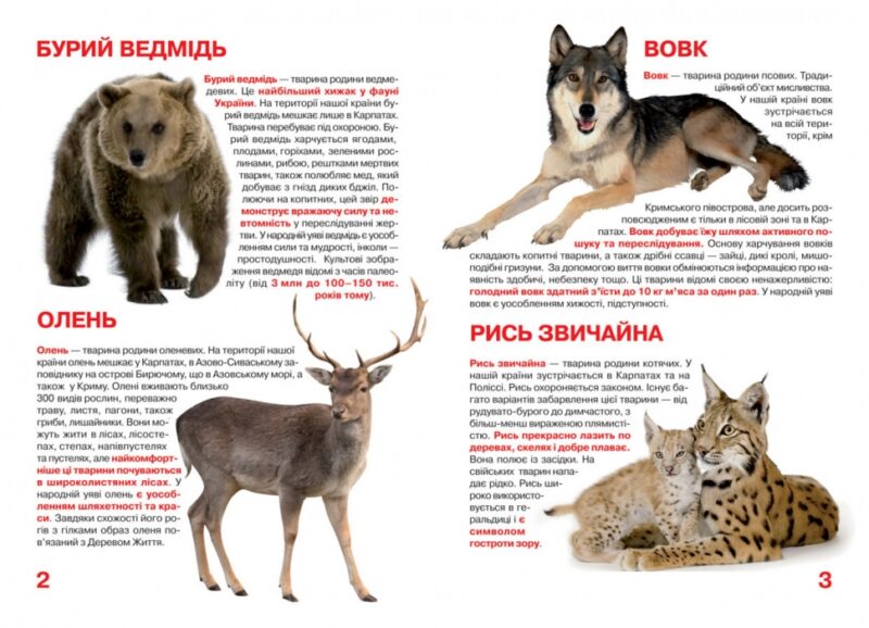 Тваринний світ України. Велика книжка (Укр) Кристал Бук (9786177352111) (492492) - Зображення 2