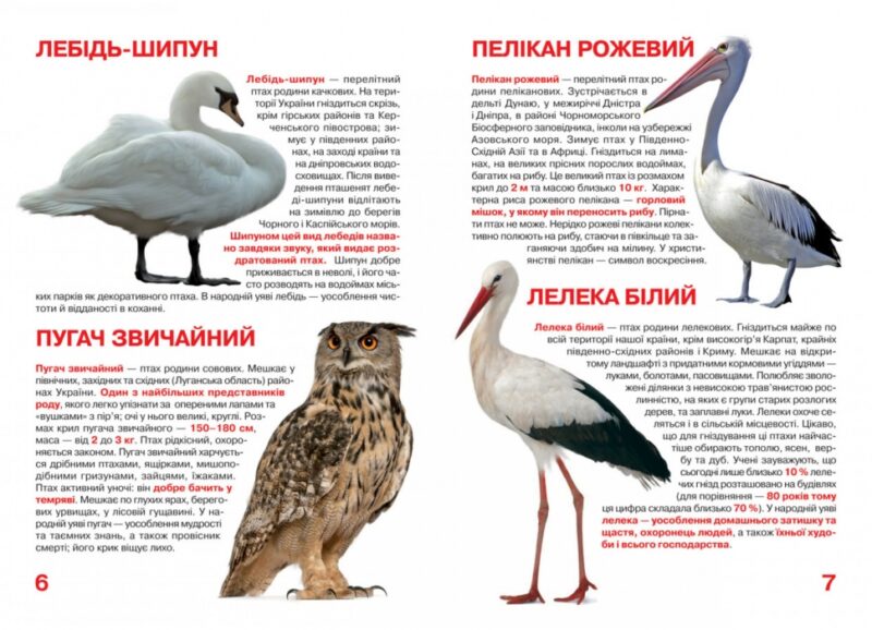 Тваринний світ України. Велика книжка (Укр) Кристал Бук (9786177352111) (492492) - Зображення 3
