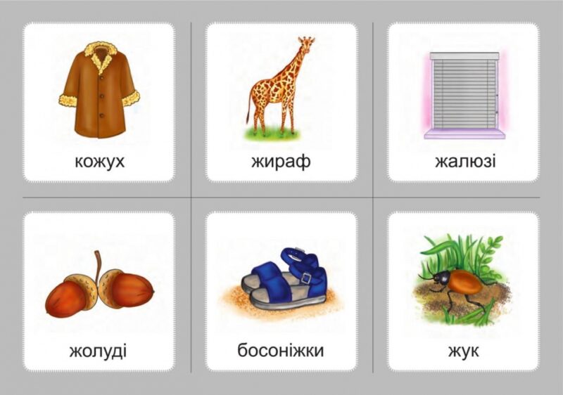 Логопедичне лото Асоціації: комплект 2 (у 4-х комплектах) Звуки [ж][ж], [ж][ш], [ш][ш], [ч][ч], [ч][шч] (Укр) Богдан (9789661060004) (457449) - Зображення 5