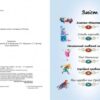 Скринька казок. Казки малюкам про хоробрих (Укр) Пегас (9789669130556) (284229) - Зображення 5