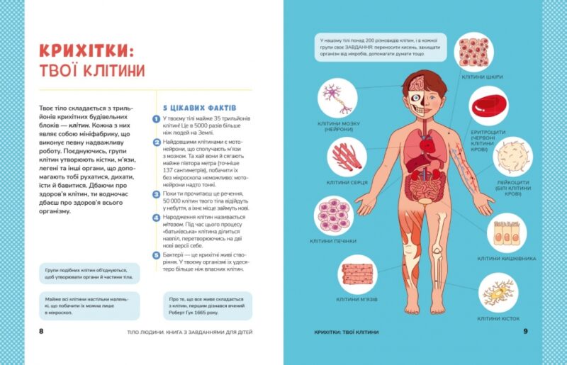 Тіло людини. Розвивальні завдання для дітей. Кеті Стокс (Укр) Vivat (9789669425218) (494608) - Зображення 4