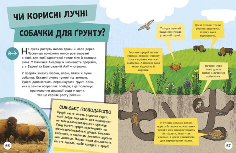 Довколапитань. Енциклопедія юних розумників. Ненсі Дікман (Укр) Ранок (9786170982056) (491074) - Зображення 6