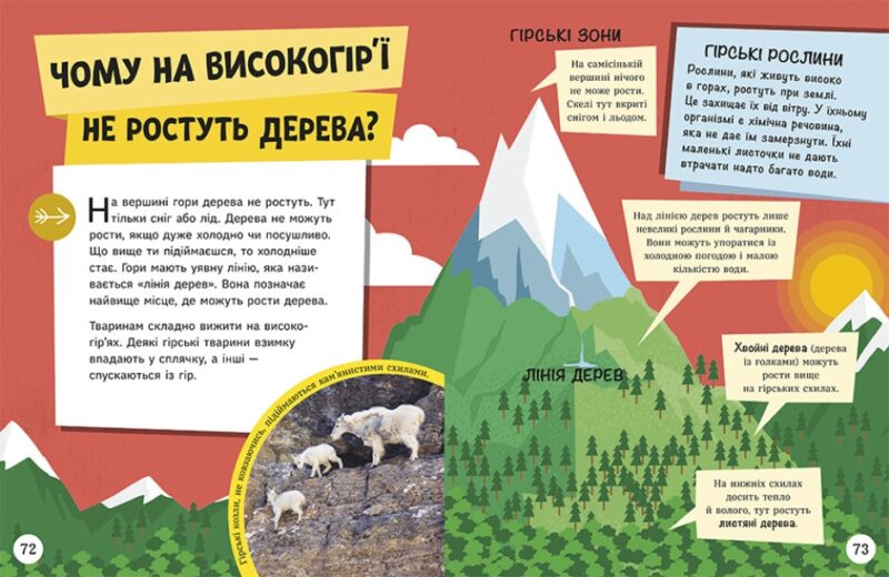 Довколапитань. Енциклопедія юних розумників. Ненсі Дікман (Укр) Ранок (9786170982056) (491074) - Зображення 7