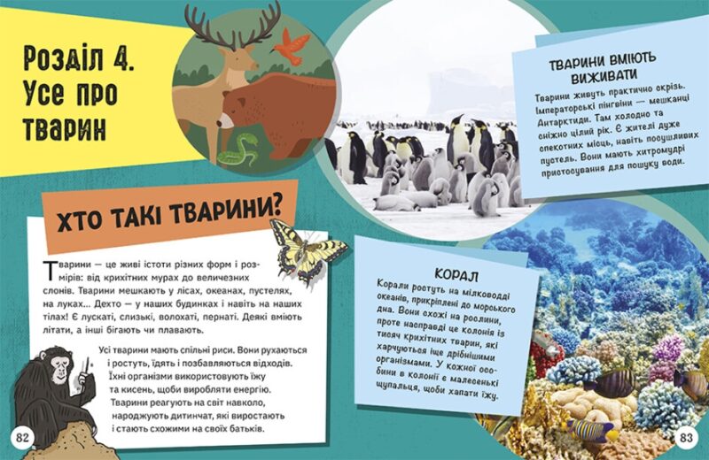 Довколапитань. Енциклопедія юних розумників. Ненсі Дікман (Укр) Ранок (9786170982056) (491074) - Зображення 8