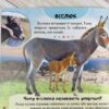 Енциклопедія. Ферма (Укр) Пегас (9789664668184) (497669) - Зображення 4