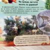 Енциклопедія. Ферма (Укр) Пегас (9789664668184) (497669) - Зображення 5