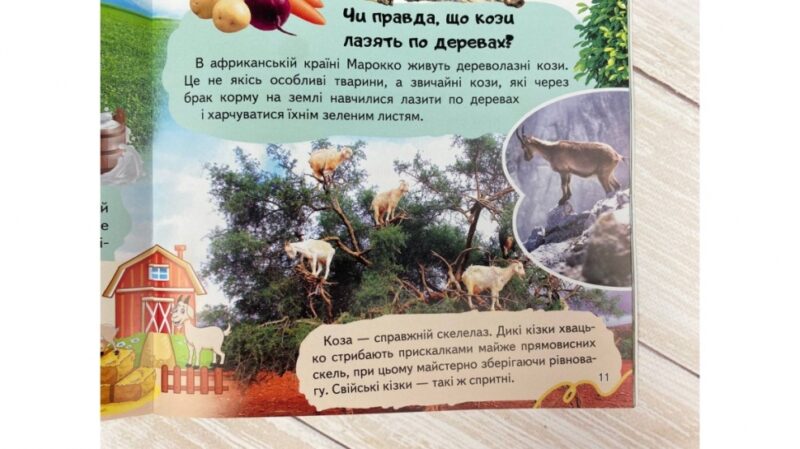 Енциклопедія. Ферма (Укр) Пегас (9789664668184) (497669) - Зображення 5