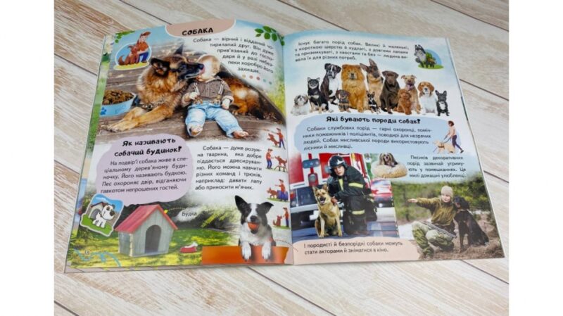 Енциклопедія. Ферма (Укр) Пегас (9789664668184) (497669) - Зображення 6