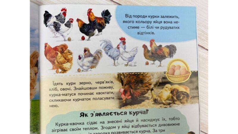 Енциклопедія. Ферма (Укр) Пегас (9789664668184) (497669) - Зображення 8