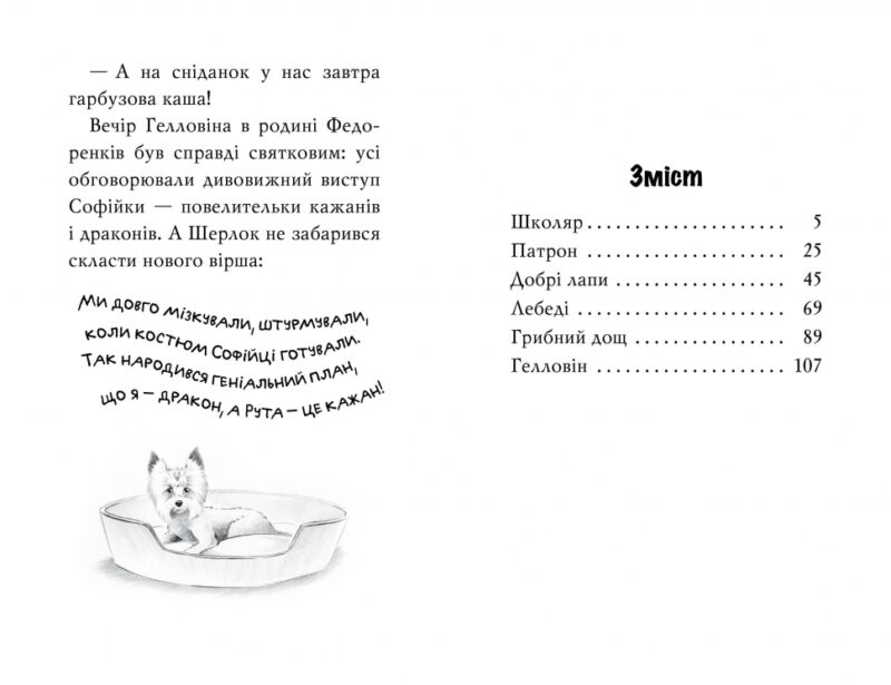 Знайомтеся, Шерлок! Як воно — бути знаменитим? Книга 3. Печенкін Д. (Укр) Рідна мова (9786178280215) (497691) - Зображення 5