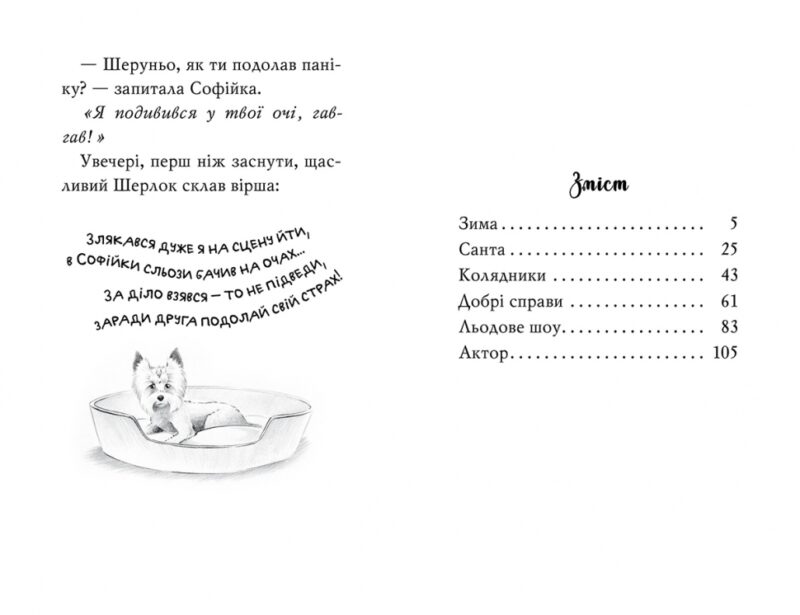 Знайомтеся, Шерлок! Як воно — бути Сантою? Книга 2. Печенкін Д. (Укр) Рідна мова (9786178248284) (497692) - Зображення 2