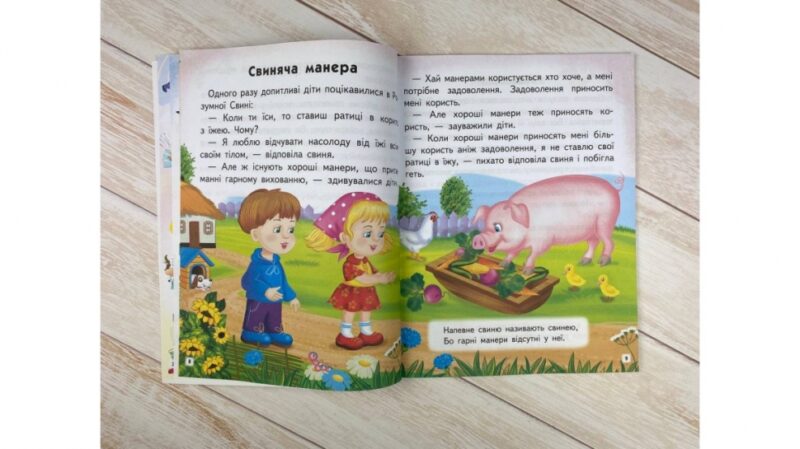 Мудрі історії. Притчі, оповідки, віршовані висновки. Великі літери. Братчук А. (Укр) Пегас (9789664669716) (497663) - Зображення 2