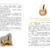 Пеппі Довгапанчоха сідає на корабель. Книга 2. Астрід Ліндґрен (Укр) Рідна мова (9786178280567) (497686) - Зображення 4