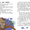 Про любов. 10 історій великим шрифтом. Каспарова Ю.В., Ран Юліта, Конопленко І.І. (Укр) Ранок С603009У (9786170982490) (494280) - Зображення 2