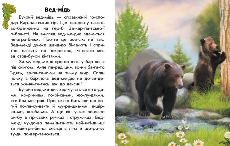 Тварини гір. Читаю про Україну. Каспарова Ю.В. (Укр) Ранок С366021У (9786170981363) (487955) - Зображення 2