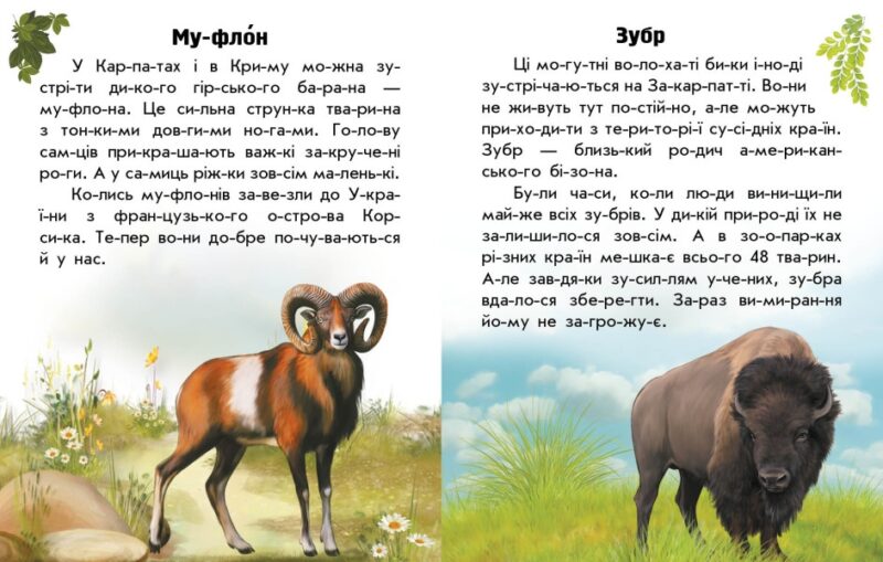 Тварини гір. Читаю про Україну. Каспарова Ю.В. (Укр) Ранок С366021У (9786170981363) (487955) - Зображення 3