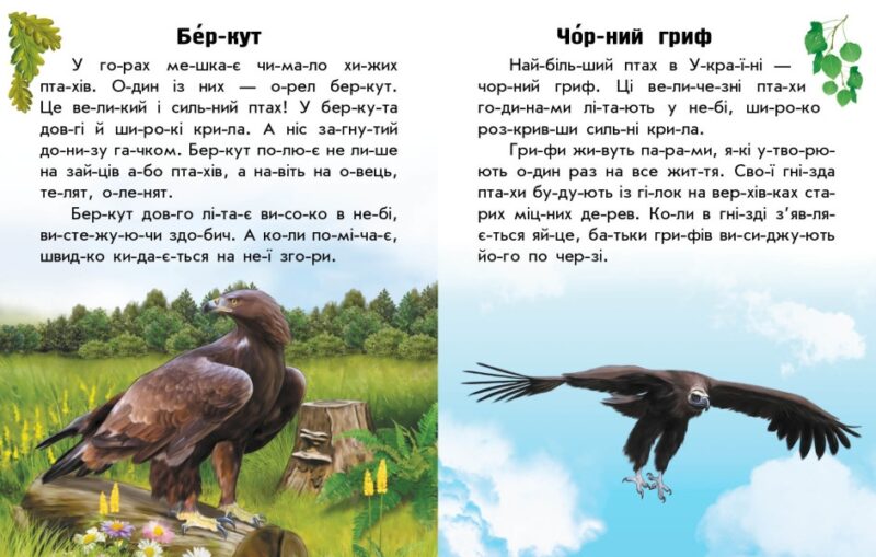 Тварини гір. Читаю про Україну. Каспарова Ю.В. (Укр) Ранок С366021У (9786170981363) (487955) - Зображення 4