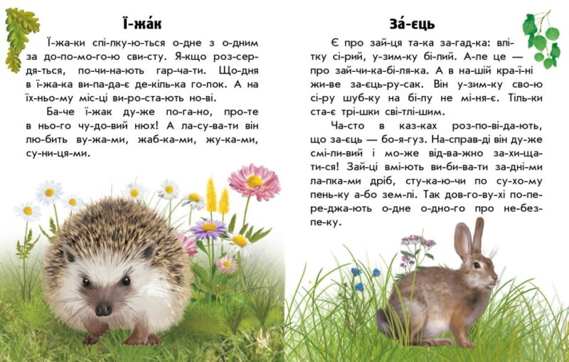 Тварини лісів. Читаю про Україну. Каспарова Ю.В. (Укр) Ранок С366023У (9786170981387) (488127) - Зображення 2
