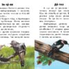 Тварини лісів. Читаю про Україну. Каспарова Ю.В. (Укр) Ранок С366023У (9786170981387) (488127) - Зображення 3