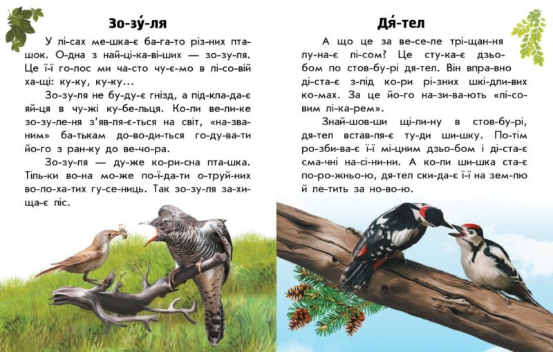 Тварини лісів. Читаю про Україну. Каспарова Ю.В. (Укр) Ранок С366023У (9786170981387) (488127) - Зображення 3