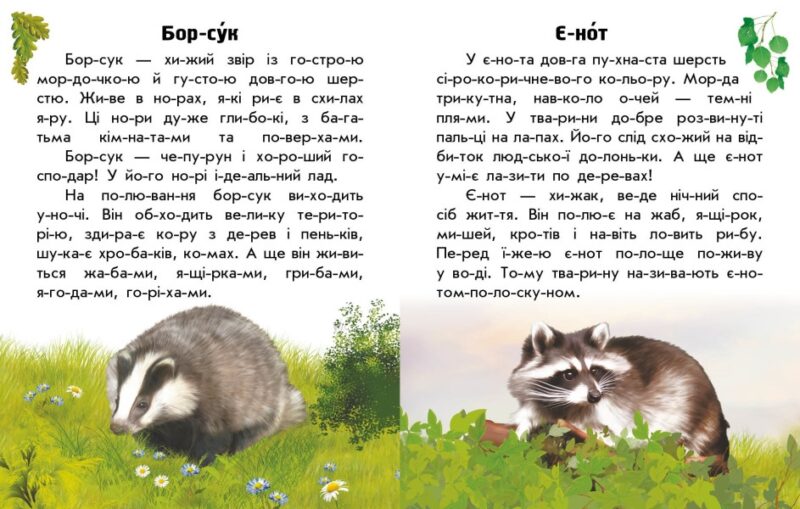 Тварини лісів. Читаю про Україну. Каспарова Ю.В. (Укр) Ранок С366023У (9786170981387) (488127) - Зображення 4