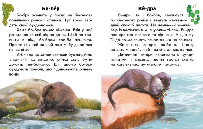 Тварини річок та морів. Читаю про Україну. Каспарова Ю.В. (Укр) Ранок С366024У (9786170981394) (488128) - Зображення 2