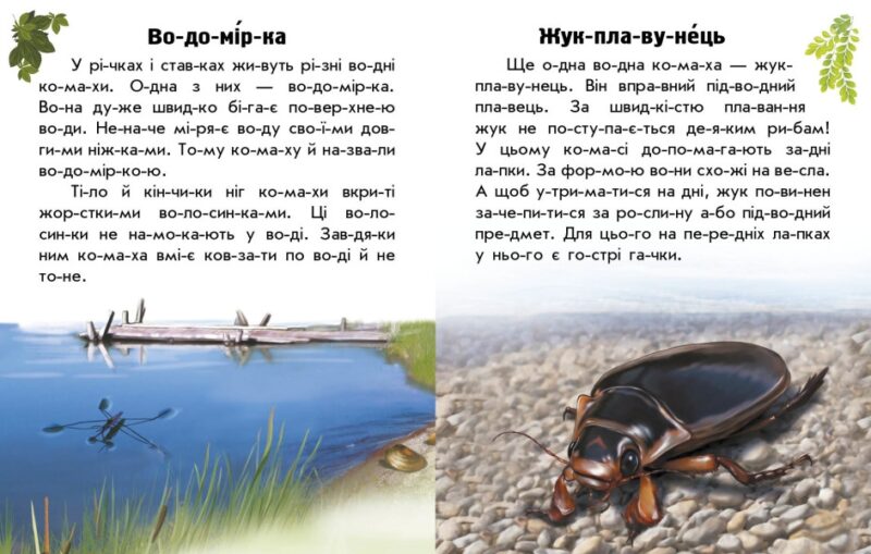 Тварини річок та морів. Читаю про Україну. Каспарова Ю.В. (Укр) Ранок С366024У (9786170981394) (488128) - Зображення 3