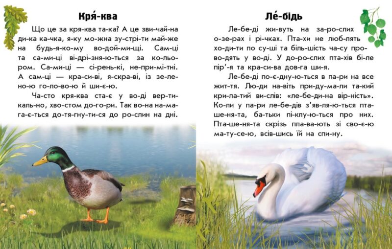 Тварини річок та морів. Читаю про Україну. Каспарова Ю.В. (Укр) Ранок С366024У (9786170981394) (488128) - Зображення 4