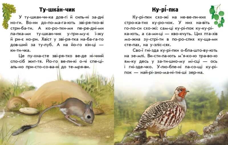 Тварини степів. Читаю про Україну. Каспарова Ю.В. (Укр) Ранок С366022У (9786170981370) (488029) - Зображення 2
