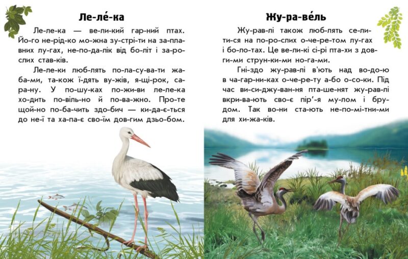 Тварини степів. Читаю про Україну. Каспарова Ю.В. (Укр) Ранок С366022У (9786170981370) (488029) - Зображення 3