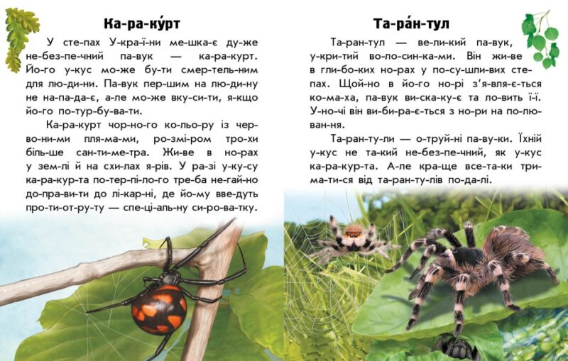 Тварини степів. Читаю про Україну. Каспарова Ю.В. (Укр) Ранок С366022У (9786170981370) (488029) - Зображення 4