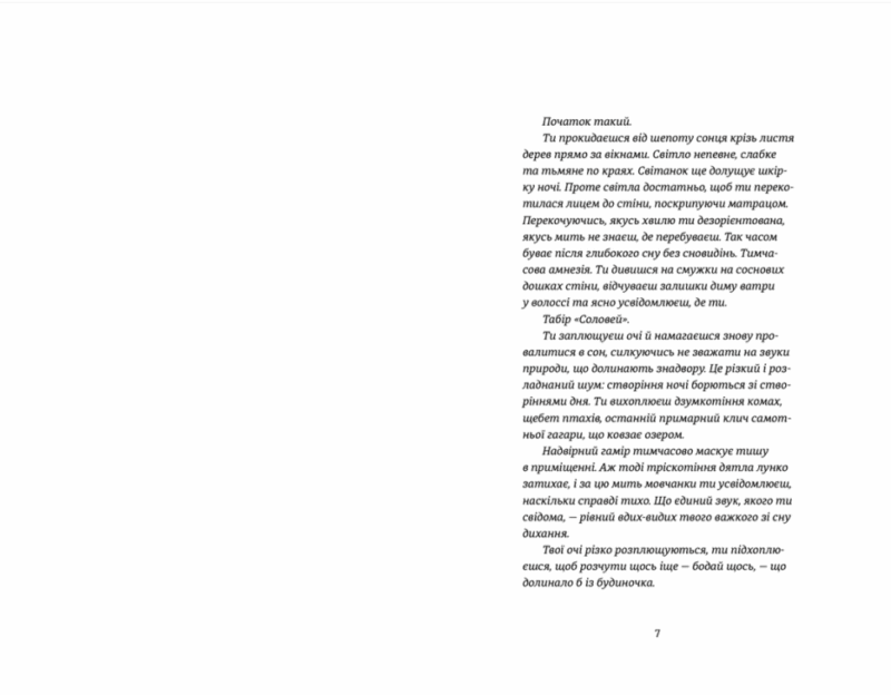 Востаннє, коли я збрехала. Райлі Сейґер (Укр) ВСЛ (9789664481400) (499742) - Зображення 2